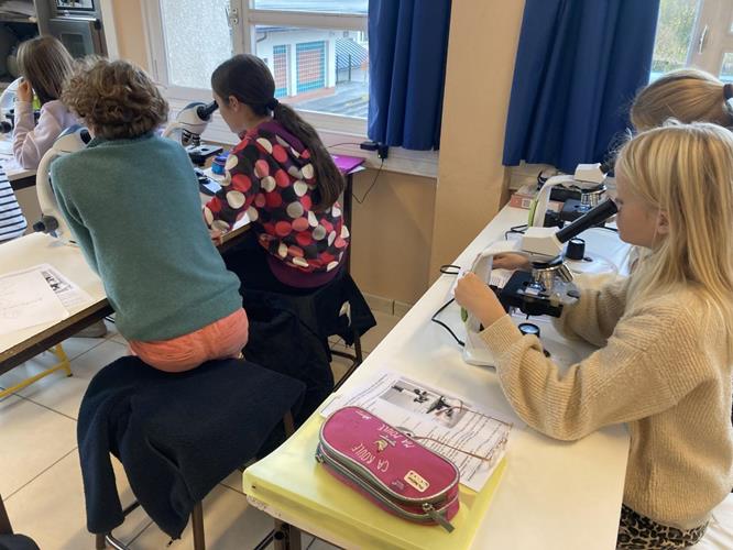 Découverte du microscope en 6ème